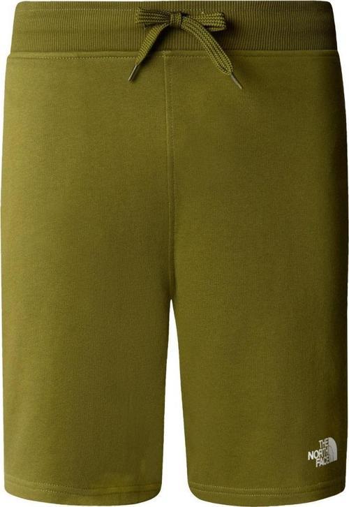 M STANDARD SHORT LIGHT-EU Erkek Şort NF0A3S4EPIB1