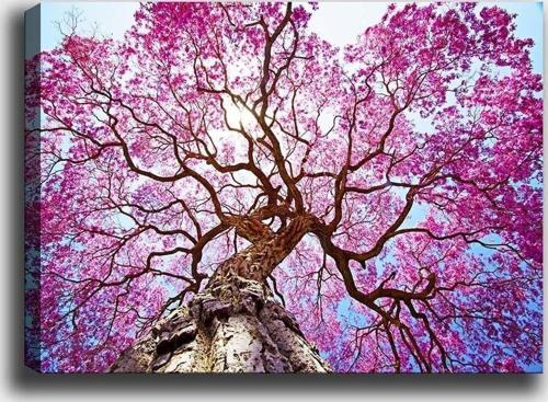 50x70 cm Kanvas Tablo