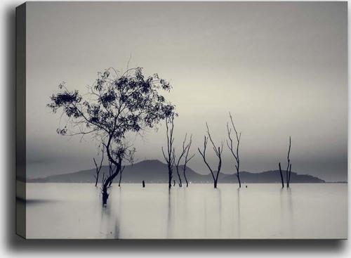 Tablo