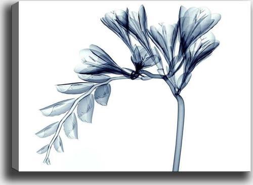 50x70 cm Kanvas Tablo