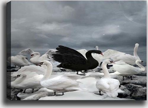 50x70 cm Kanvas Tablo