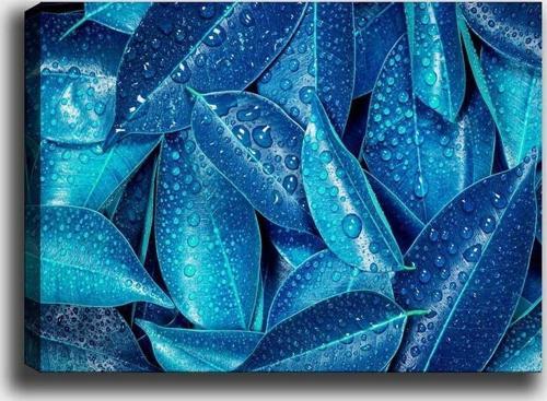 50x70 cm Kanvas Tablo