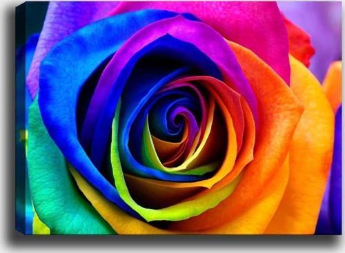 50x70 cm Kanvas Tablo