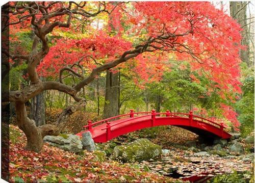 50x70 cm Manzara Kanvas Tablo