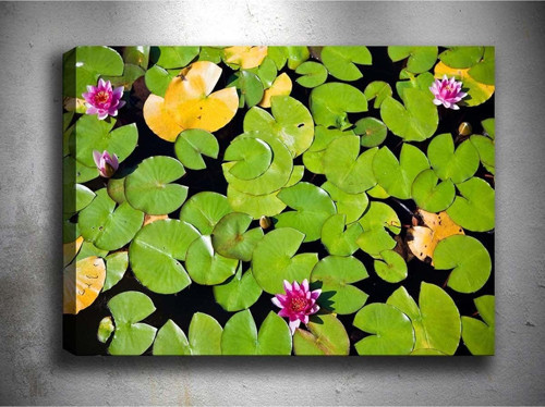 30x40 cm Çiçek Kanvas Tablo