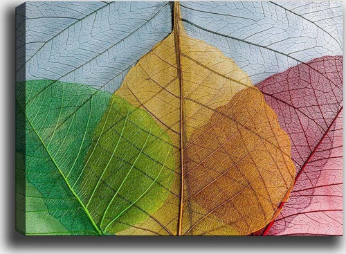 50x70 cm Kanvas Tablo