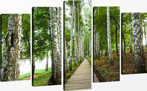 5 Parçalı Kanvas Tablo 60x100 cm