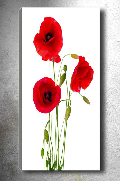 30x90 cm Çiçek Kanvas Tablo