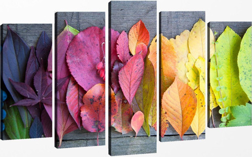 5 Parçalı Kanvas Tablo 60x100 cm