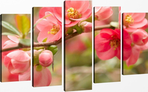 5 Parçalı Kanvas Tablo 60x100 cm