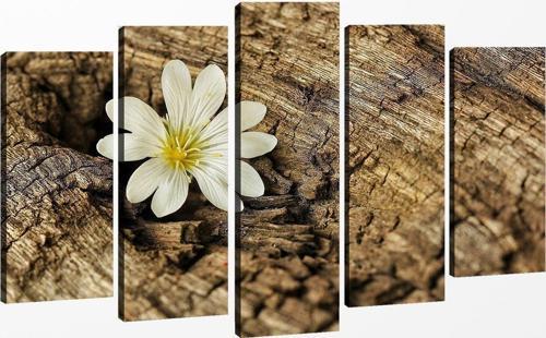5 Parçalı Kanvas Tablo 60x100 cm