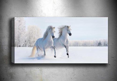 30x90 cm Dekoratif Kanvas Tablo