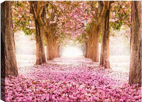 50x70 cm Manzara Kanvas Tablo