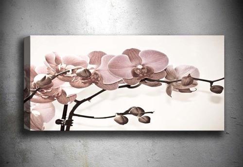 30x90 cm Çiçek Kanvas Tablo