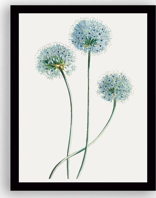 Siyah Çerçeveli Tablo 25 cm x 30 cm