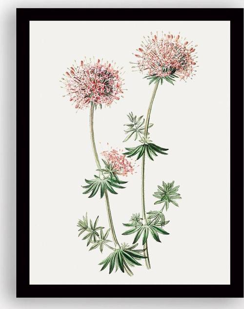 Siyah Çerçeveli Tablo 25 cm x 30 cm