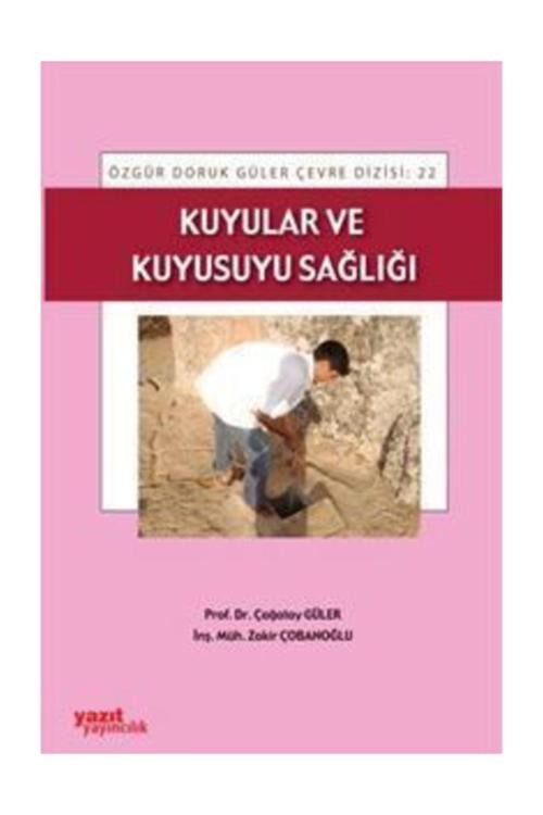 Kuyular Ve Kuyusuyu Sağlığı - Palme Yayınları