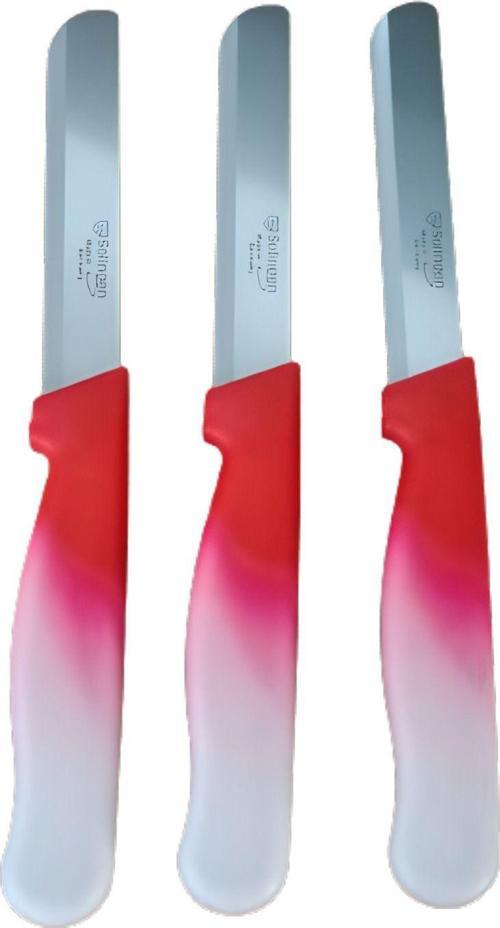 Sebze Bıçağı Lazerli Kırmızı Beyaz Renkli Kulp 3 lü Set (22 cm)