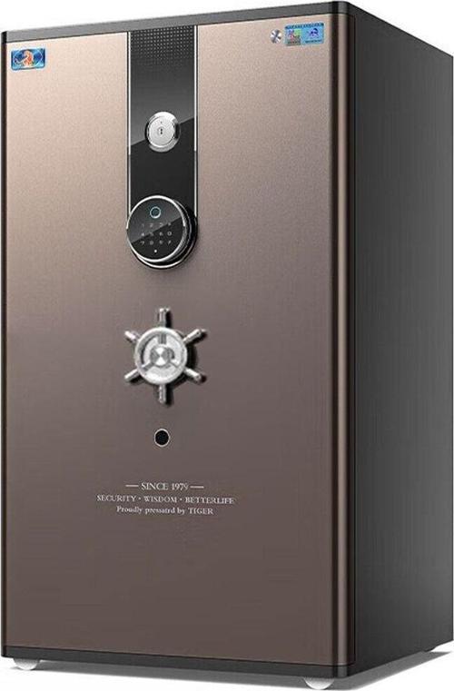 Hanhai Rich Fdg80 Akıllı Çelik Kasa