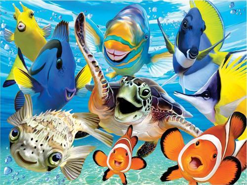 Prime 3D Deniz Canlıları Selfie Puzzle 48 Parça 20606