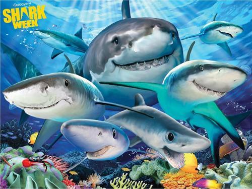 Prime 3D Discovery Köpek Balıkları Puzzle 100 Parça 10668