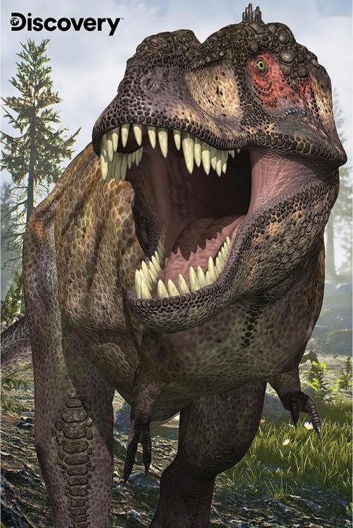 Prime 3D Discovery T-Rex ve Allosaurus İkili Puzzle 200 Parça 102