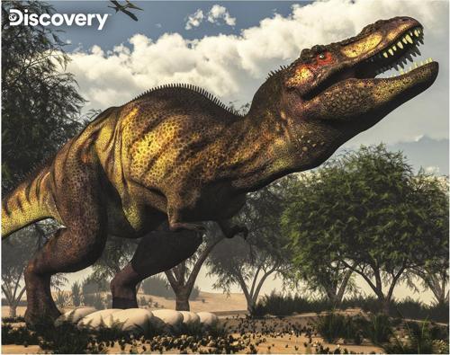 Prime 3D Discovery Tyrannosaurus Rex Puzzle 63 Parça 20925