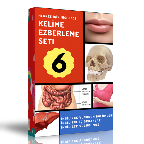 Enine Boyuna Eğitim İngilizce Kelime Ezberleme Modüler Kitap Seti-6