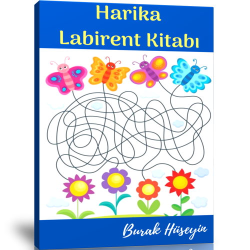 Okul Öncesi Harika Labirent Kitabı - Enine Boyuna Eğitim