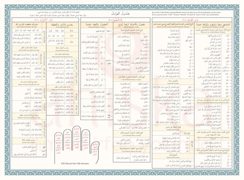 Avamil Şeması Renkli