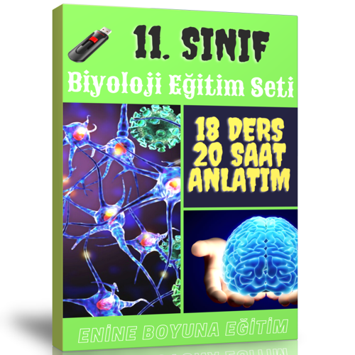 11. Sınıf Biyoloji Görüntülü Eğitim Seti (18 Ders – 20 Saatlik Anlatım) - Enine Boyuna Eğitim