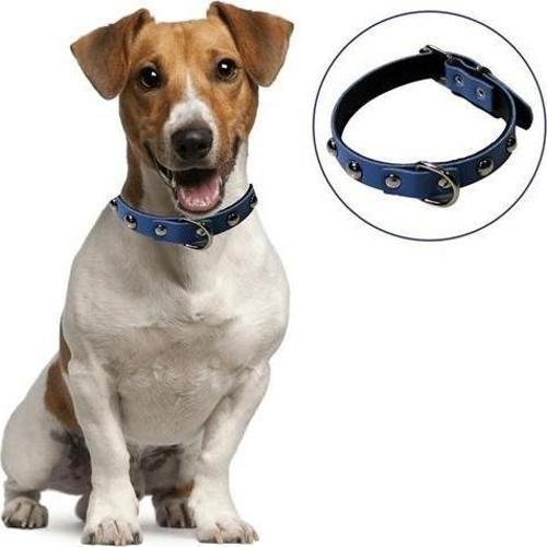 Yumuşak Dokulu Deri Köpek Gezdirme Boyun Tasması (Large)