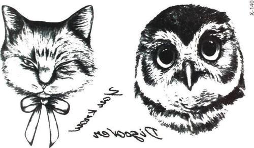 Baykuş Ve Kedi Geçici Dövme Şık Moda Aksesuar El,Kol,Bilek,Göğüs Dövme,Tattoo