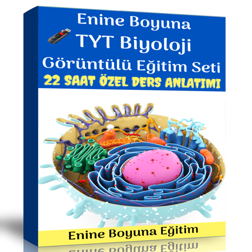 Tyt Biyoloji Görüntülü Eğitim Seti (22 Saat Özel Ders Anlatımı) - Enine Boyuna Eğitim