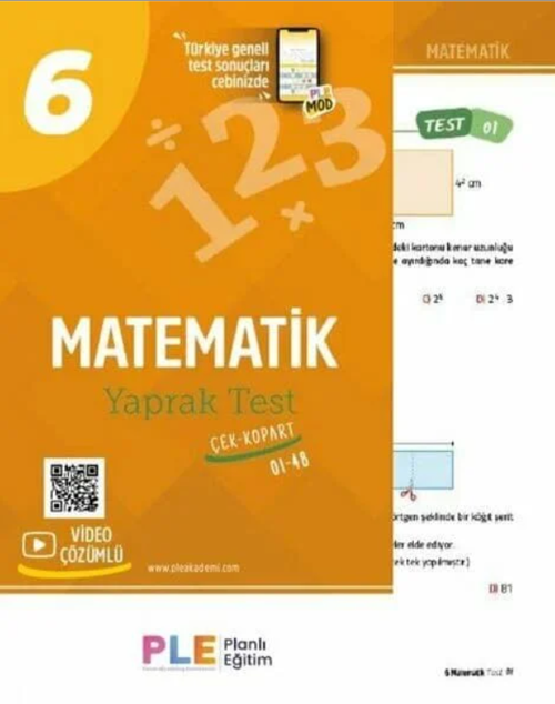 Birey PLE 6. Sınıf Matematik 48 Yaprak Test Birey Yayınları