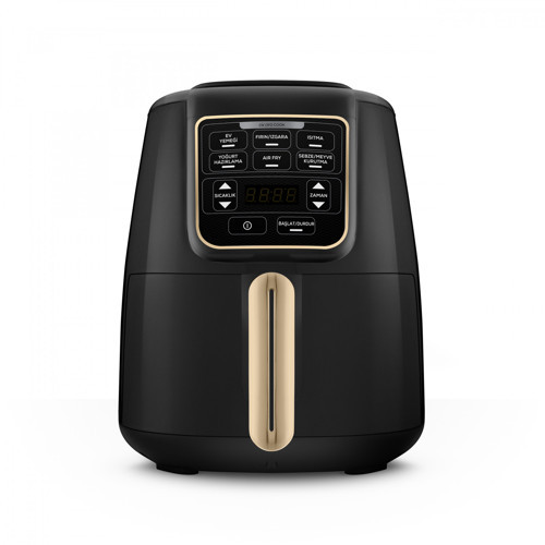 Air Pro Cook XL 2 in 1 Konuşan AirFryer Mineral Gold 4L