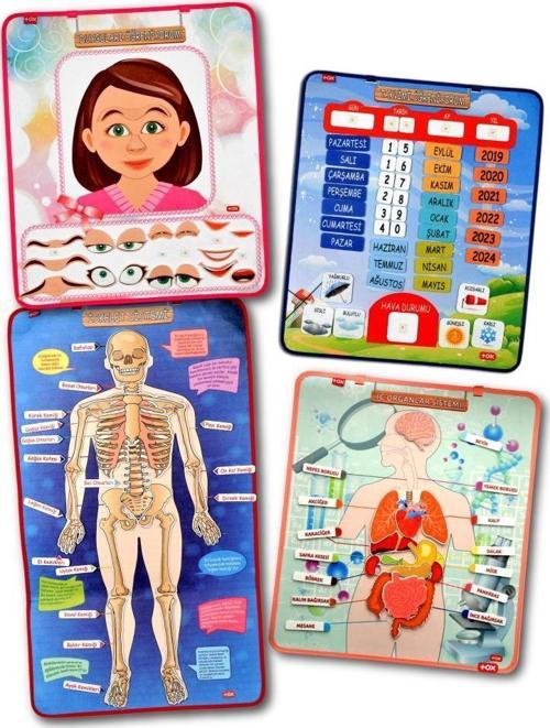 4 Set  127 Parça  İskelet , İç Organlar Sistemi , Takvim ve Duyguları Öğreniyorum Keçe Cırtlı Duvar Panoları , Eğitici O