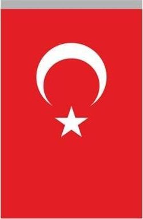 Buket Türk Bayrağı (20X30)