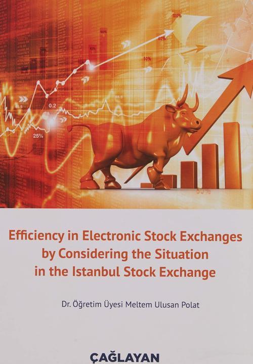 Efficiency in Electronic Stock Exchanges by Considering the Situation in the Istanbul Stock Exchange