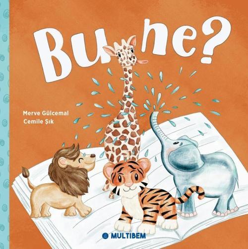 Multibem Yayınları Bu Ne?