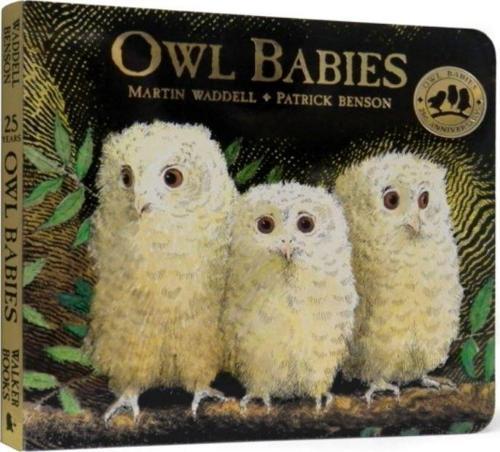 Walker Books Owl Babies