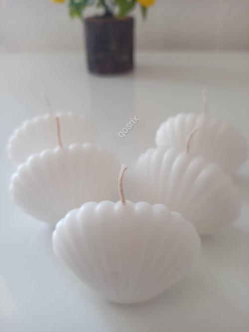 5'li Beyaz Mini Istiridye Deniz Kabuğu 1. Kalite Soya Doğal Vanilya Kokulu Mum Dekoratif