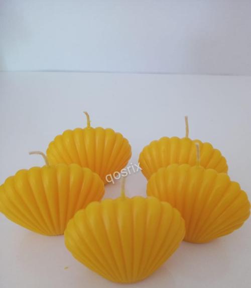 5'li Sarı Mini İstiridye Deniz Kabuğu 1. Kalite Doğal Kokulu Mum Dekoratif