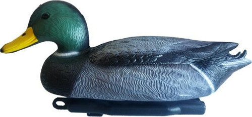 HD 009 Yeşil Baş Erkek Ördek