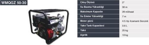 WMQGZ50-30 2İnch Su Motoru 4.5 HP