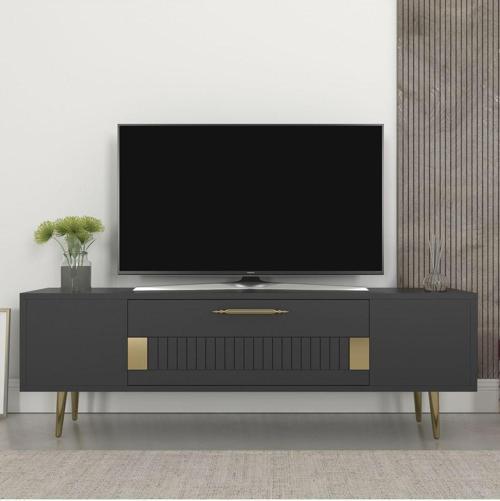 Fashionn Tv Sehpası (Alt Modül) Antrasit-Altın