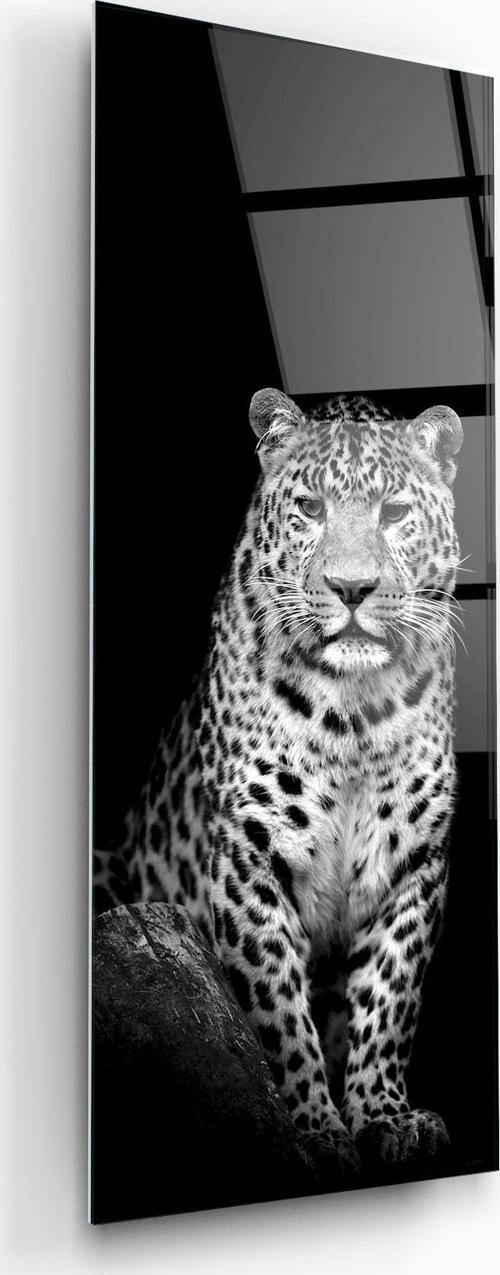 Leopar Panoramik Cam Tablo | Hediyelik, Dekoratif, Ofis, Mutfak 