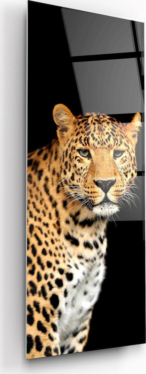 Leopar Panoramik Cam Tablo | Hediyelik, Dekoratif, Ofis, Mutfak 