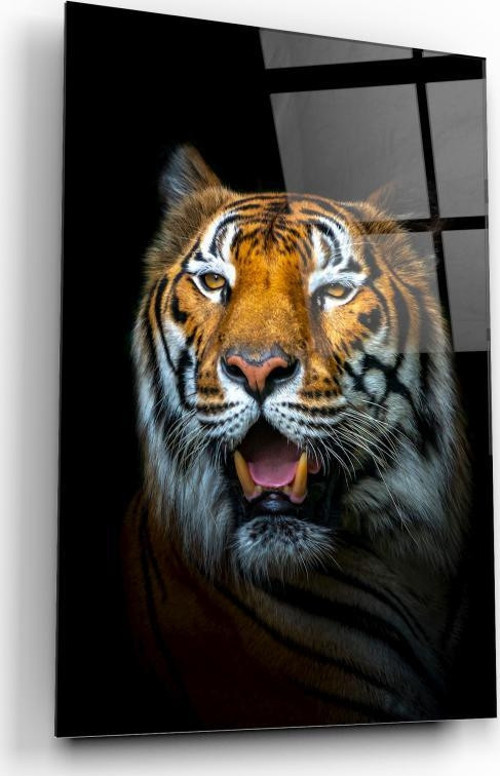 Kaplan Cam Tablo | Hediyelik, Dekoratif, Ofis, Mutfak