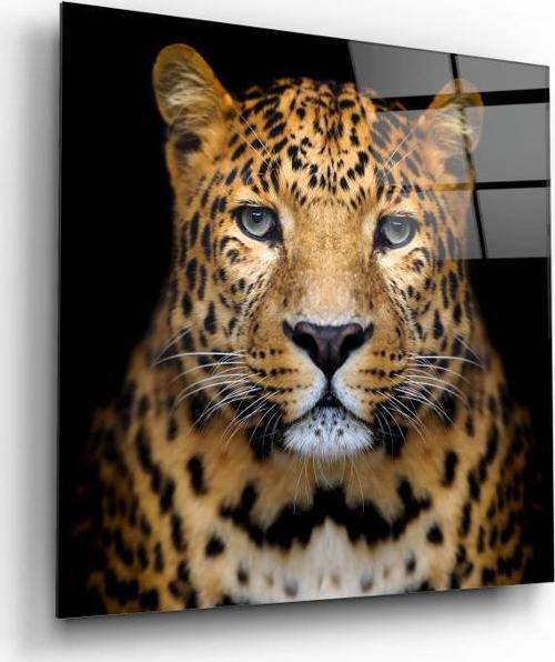 Leopar Cam Tablo | Hediyelik, Dekoratif, Ofis, Mutfak 